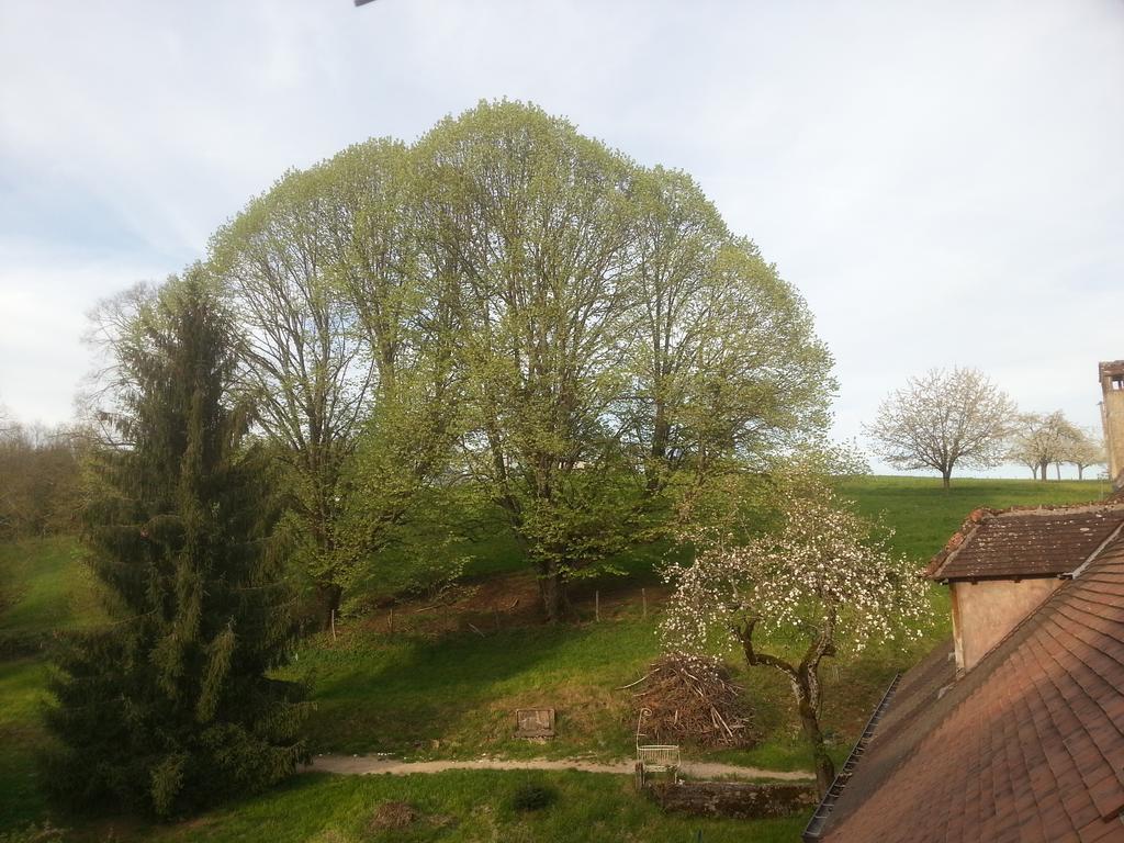 Gite 3 Du Chateau De Feschaux Villeneuve-sous-Pymont エクステリア 写真