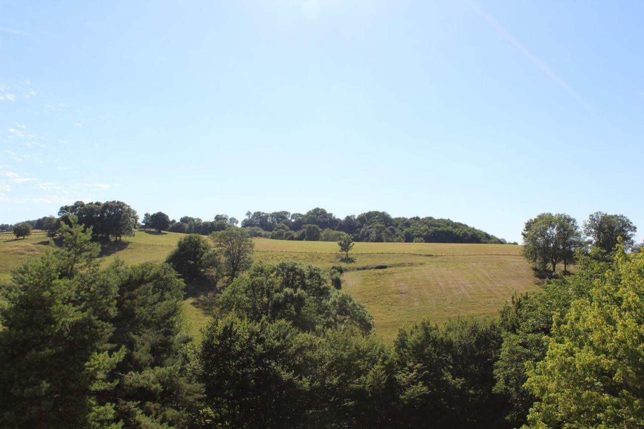Gite 3 Du Chateau De Feschaux Villeneuve-sous-Pymont エクステリア 写真