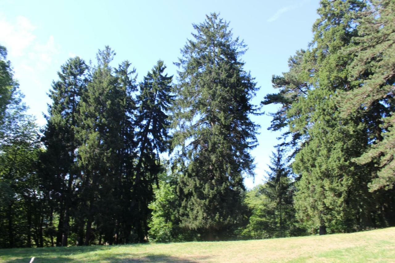 Gite 3 Du Chateau De Feschaux Villeneuve-sous-Pymont エクステリア 写真